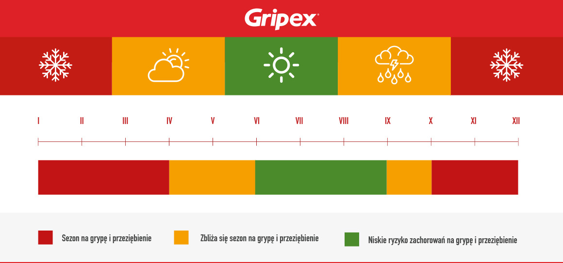 Sezonowość zachorowań na grypę i przeziębienie